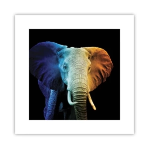 Póster - Excéntrico, no un bicho raro - 30x30 cm