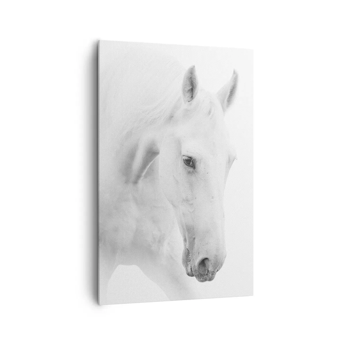 Cuadro sobre lienzo - Impresión de Imagen - Un retrato minimalista de dos caballos blancos. - 80x120cm - ¿Es esto realmente la amistad...? - Decoración de pared moderna para salón y dormitorio ARTTOR