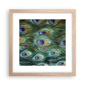 Póster en marco roble claro - Mirada de pavo real - 30x30 cm