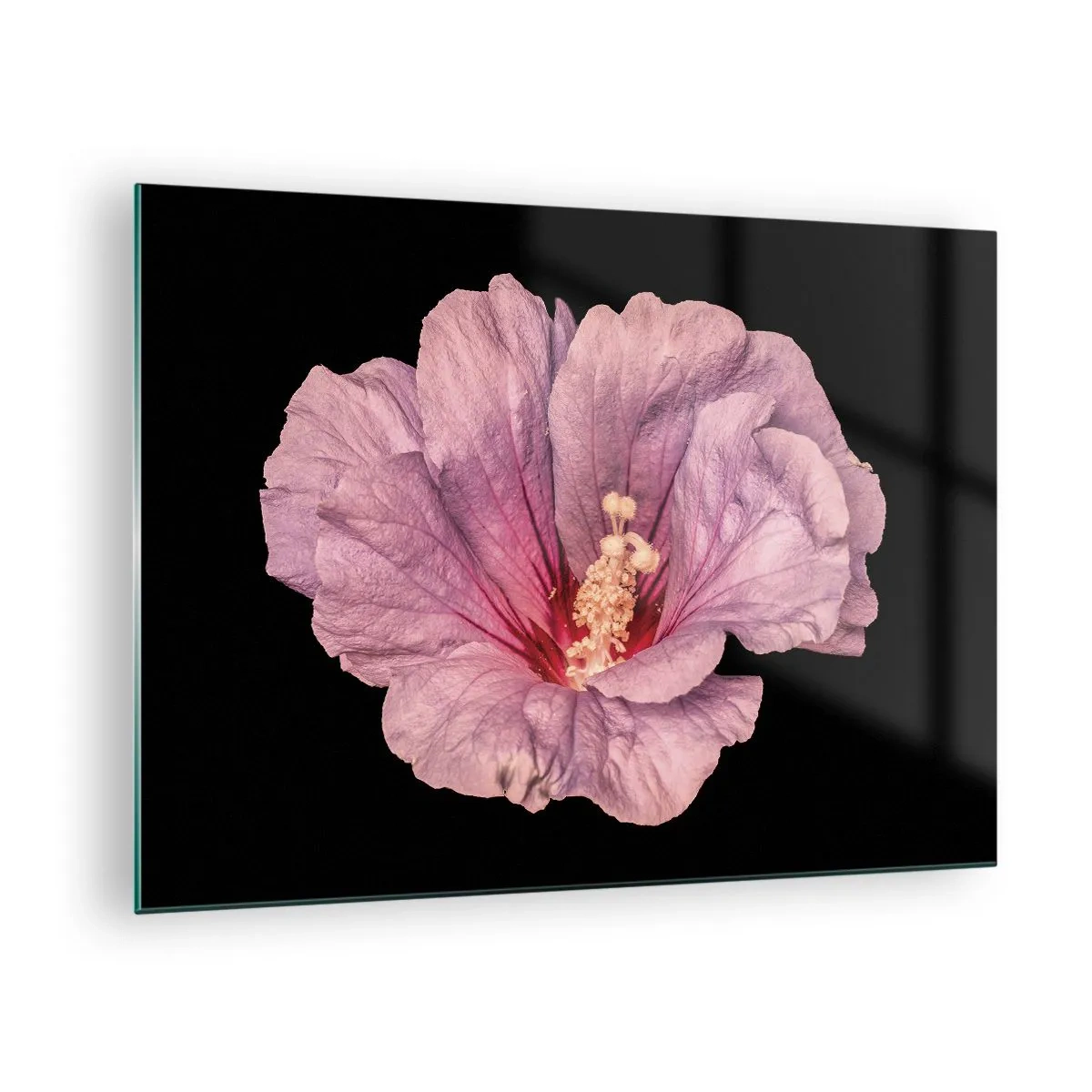 Cuadro sobre vidrio - Impresiones sobre Vidrio - Primer plano de una flor de hibisco rosa sobre un fondo negro - 70x50cm - Directo al corazón - Decoración de pared moderna para salón y dormitorio ARTTOR