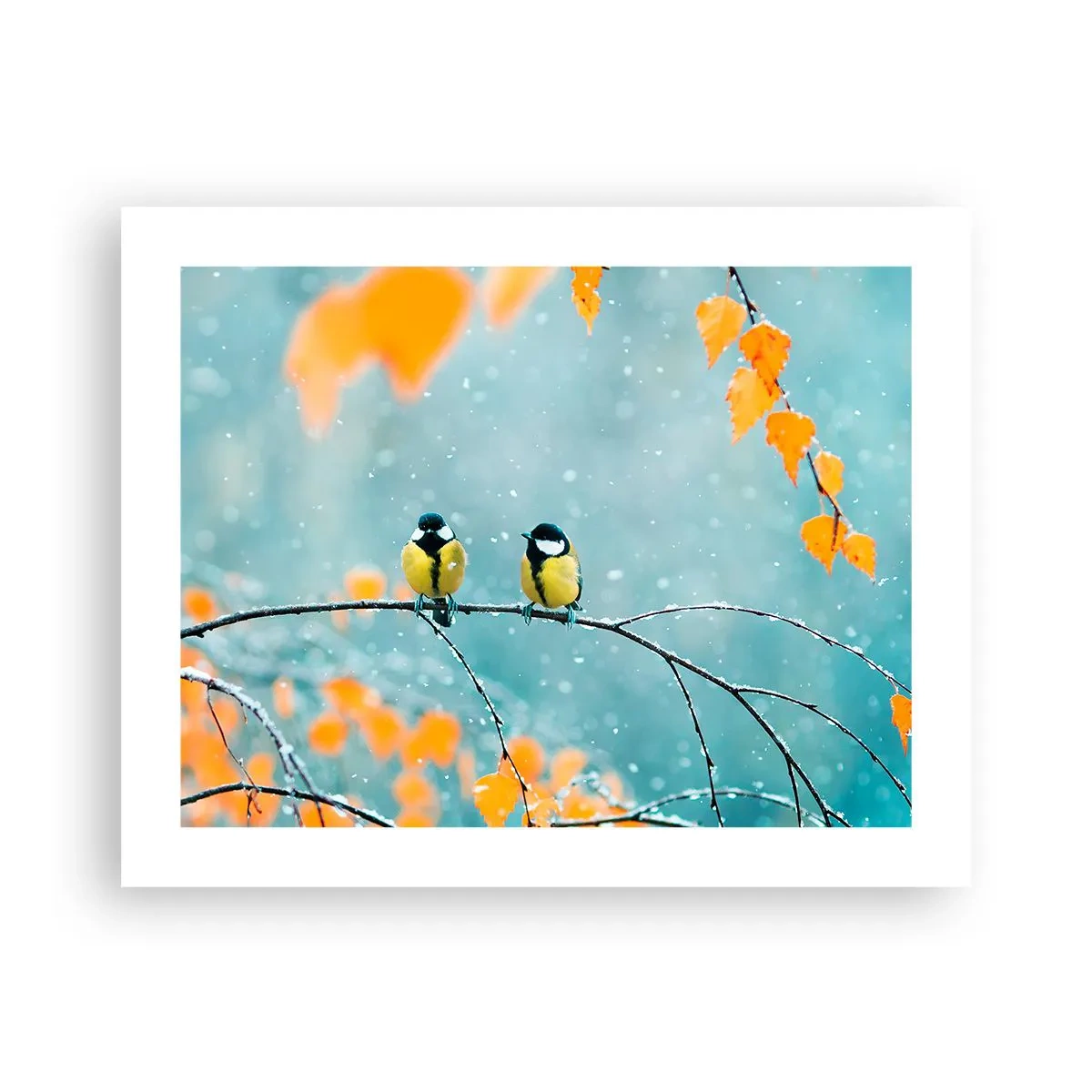 Póster - Cotilleo de pájaros - 50x40 cm