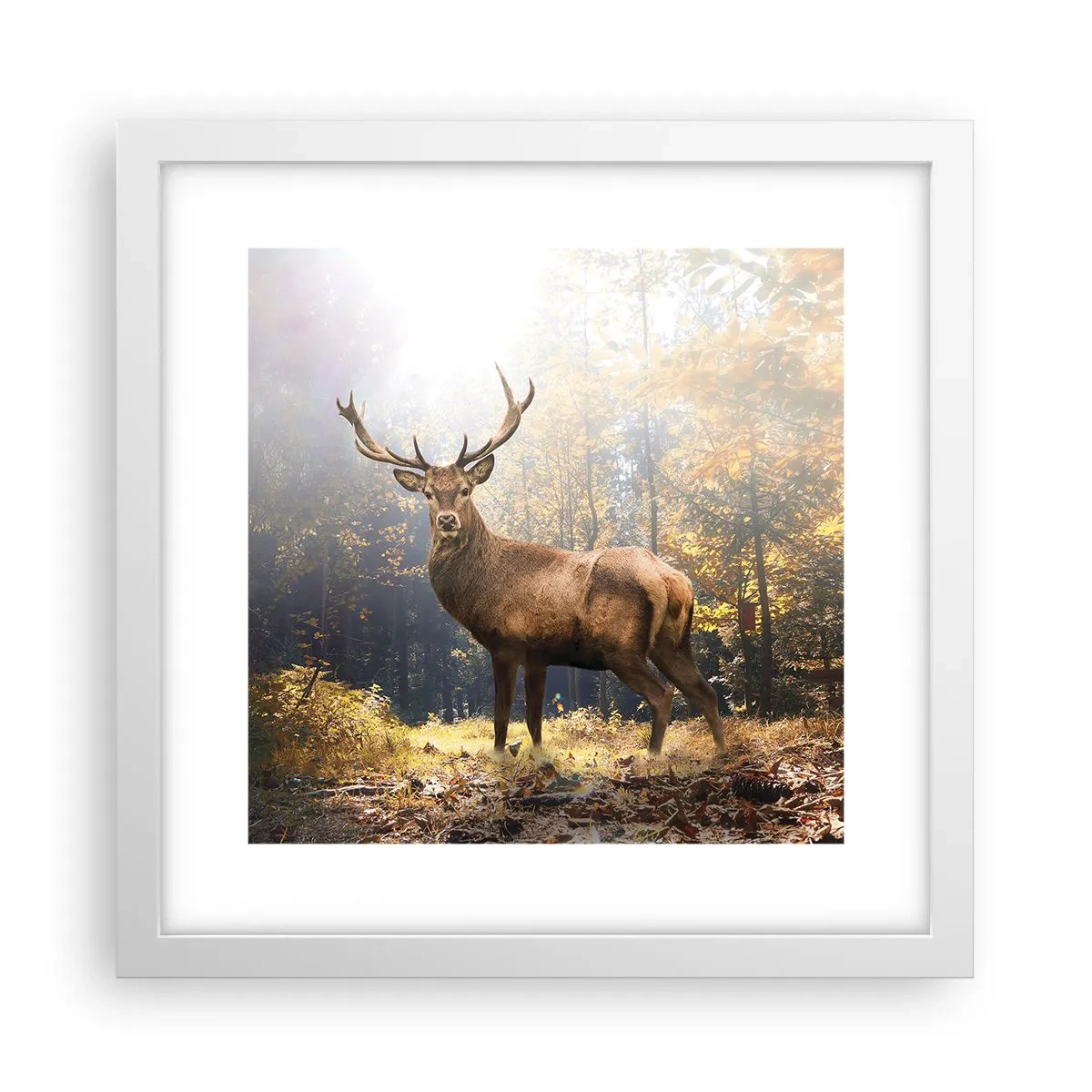Póster en marco blanco - Con toda la majestuosidad - 30x30 cm