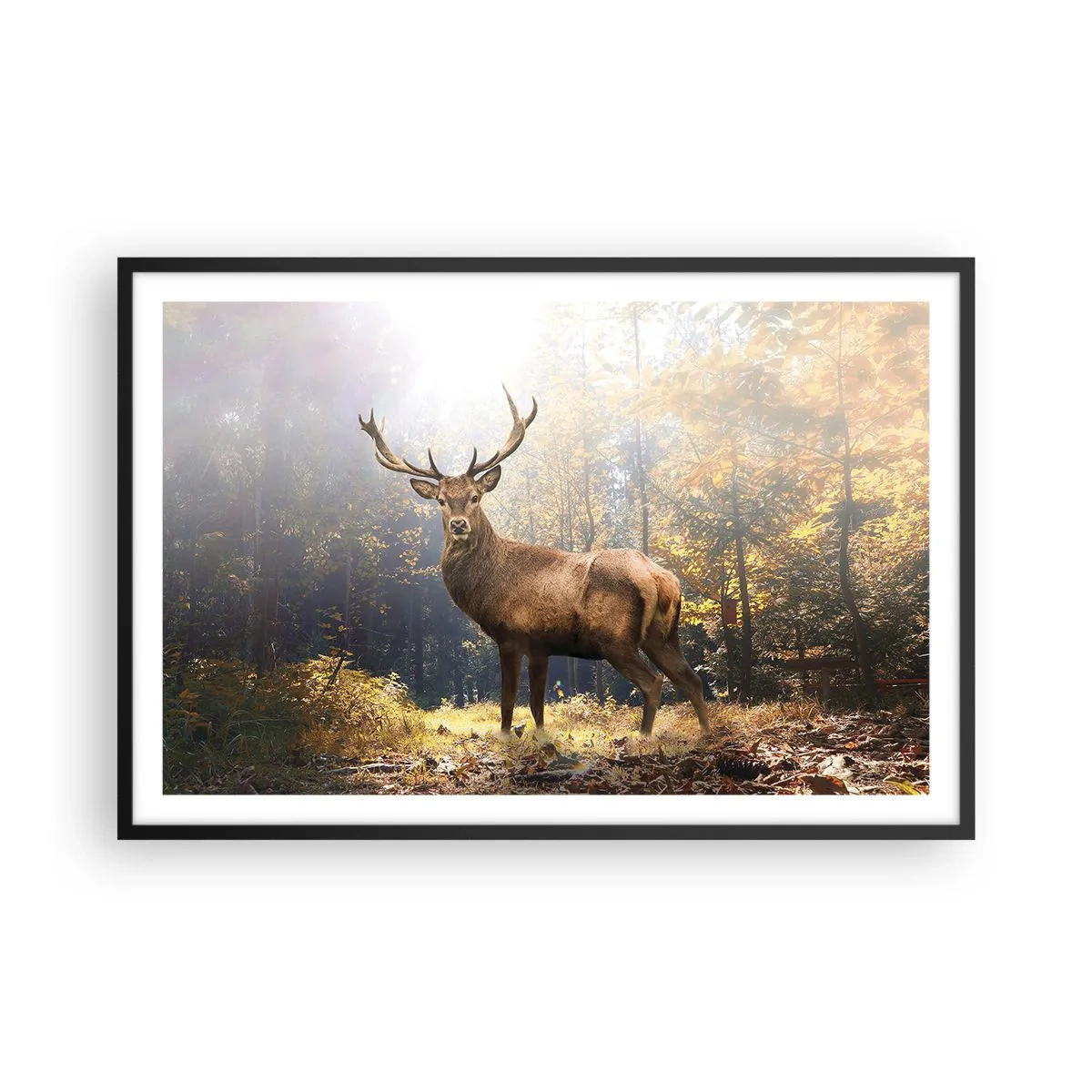 Póster en marco negro - Con toda la majestuosidad - 91x61 cm