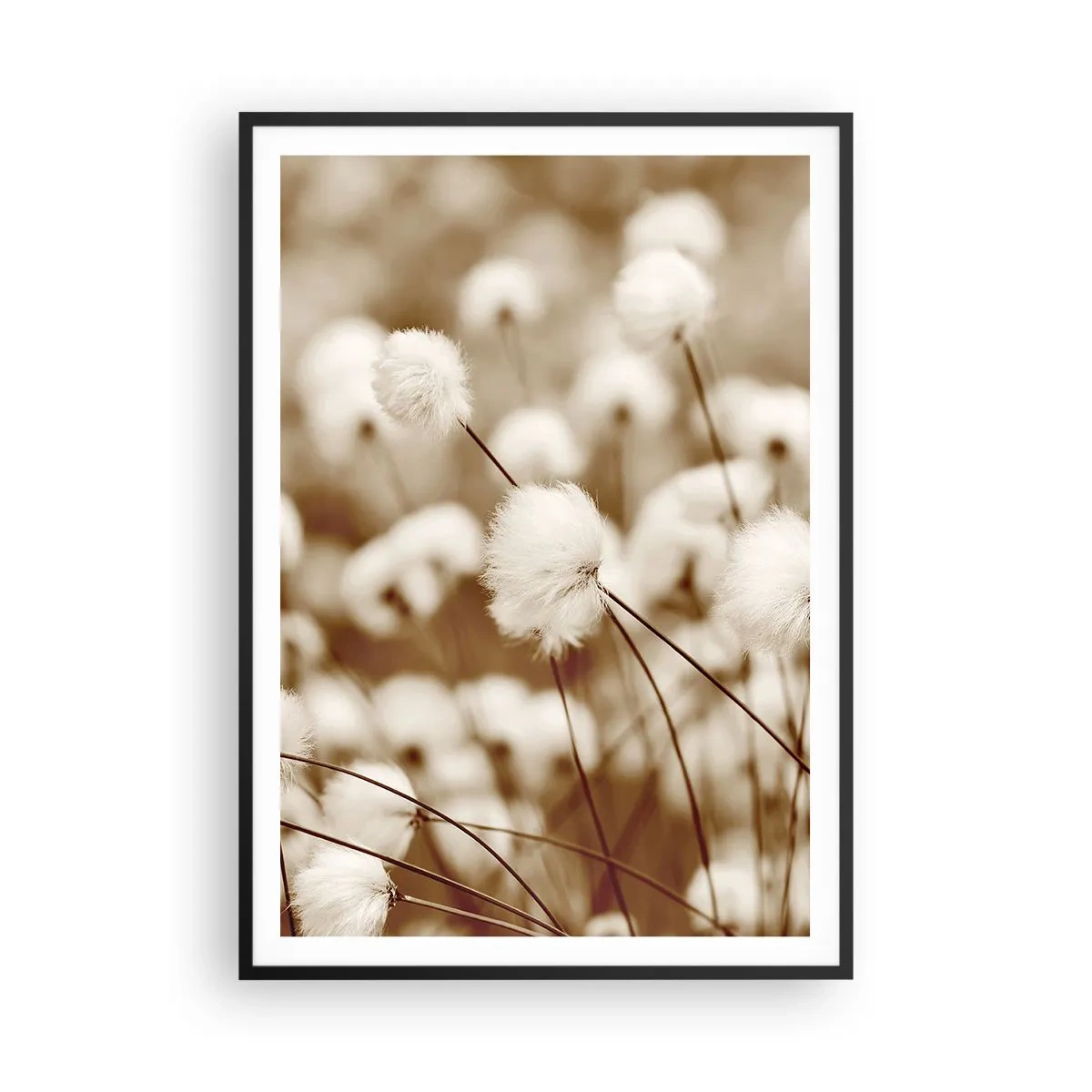 Póster en marco negro - Un mullido colchón - 70x100 cm