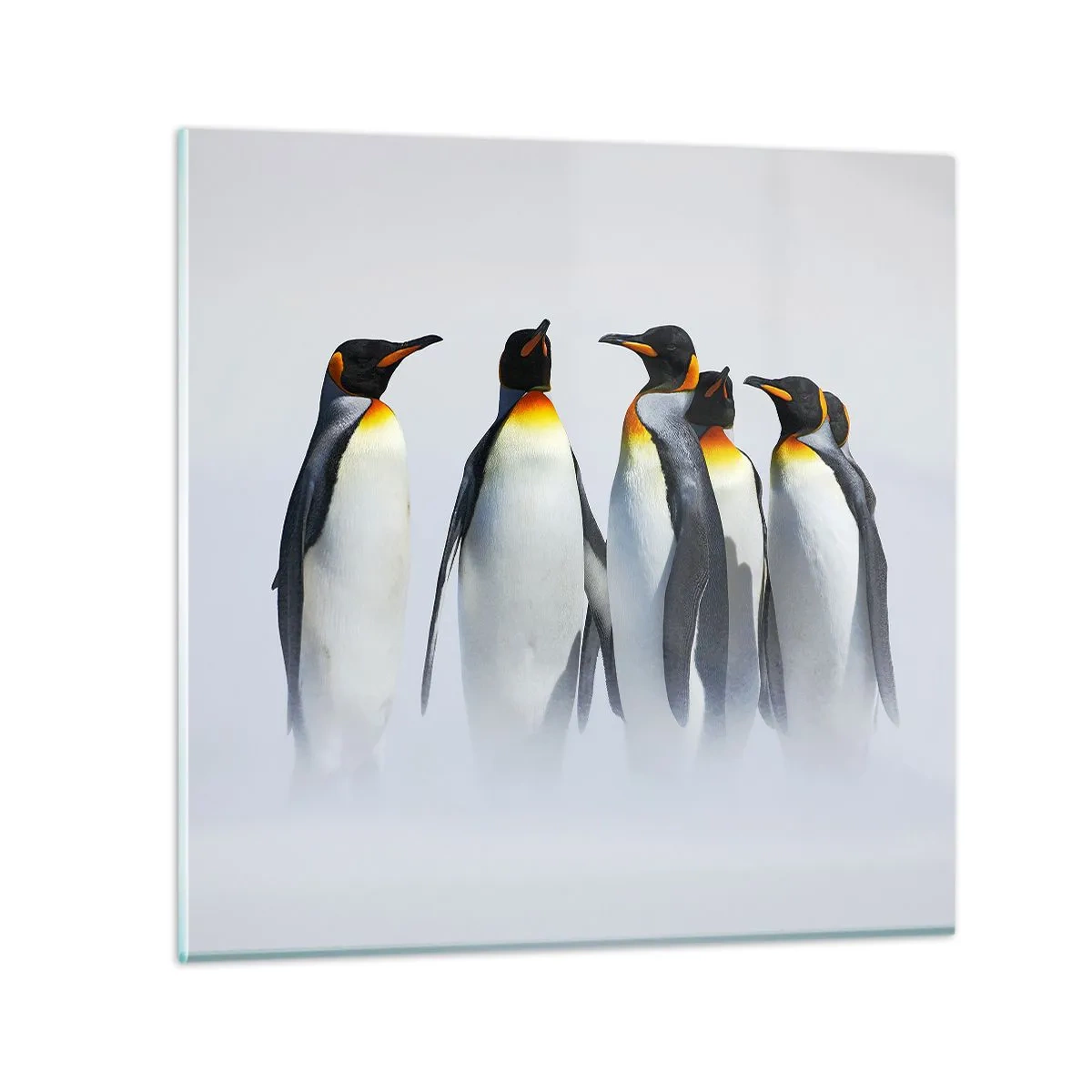 Cuadro sobre vidrio - Impresiones sobre Vidrio - Reunión en traje de noche - 40x40 cm