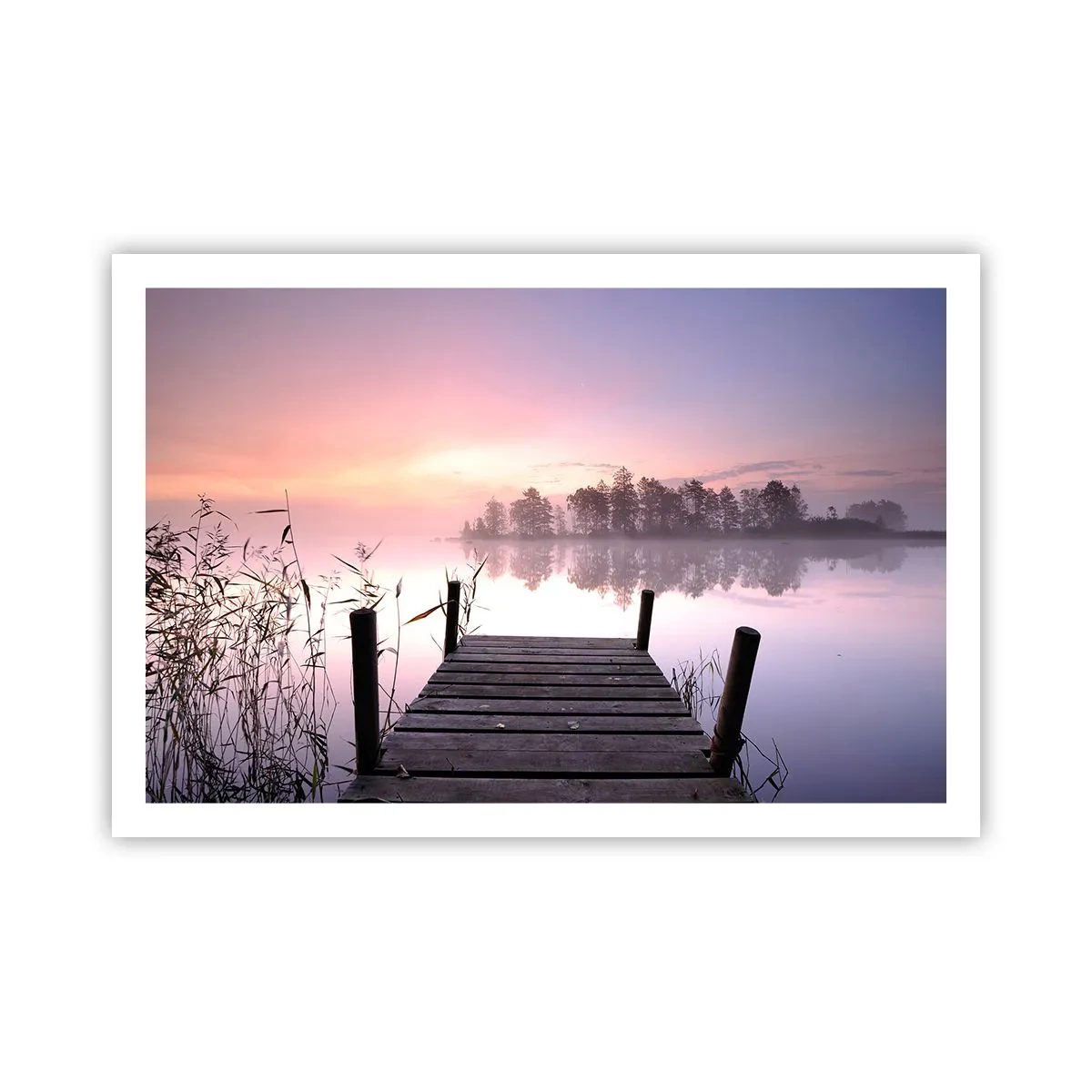 Póster - De la niebla lila... - 91x61 cm