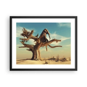 Póster en marco negro - Un nuevo punto de vista - 50x40 cm