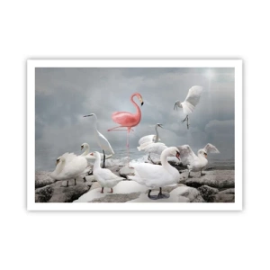 Póster - Un flamenco rosado entre cisnes blancos con el fondo de un lago. - 100x70cm - ¿De dónde vengo? - Decoración de pared moderna para salón y dormitorio ARTTOR