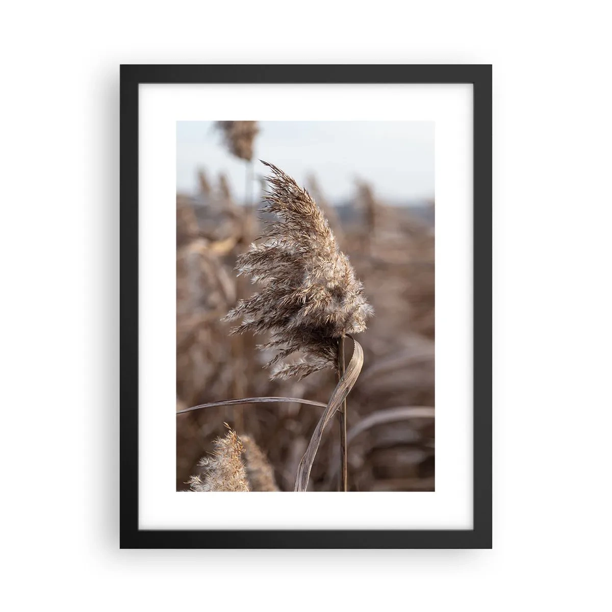 Póster en marco negro - Es hora de volar con el viento - 30x40 cm