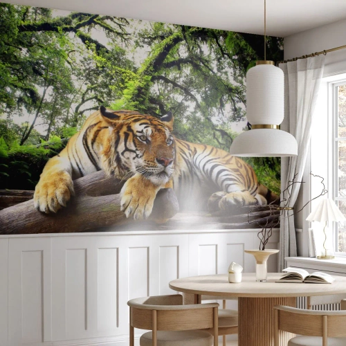 Fotomural Premium Sand - Atentamente - Tigre, animales, Depredador - 250x175 cm