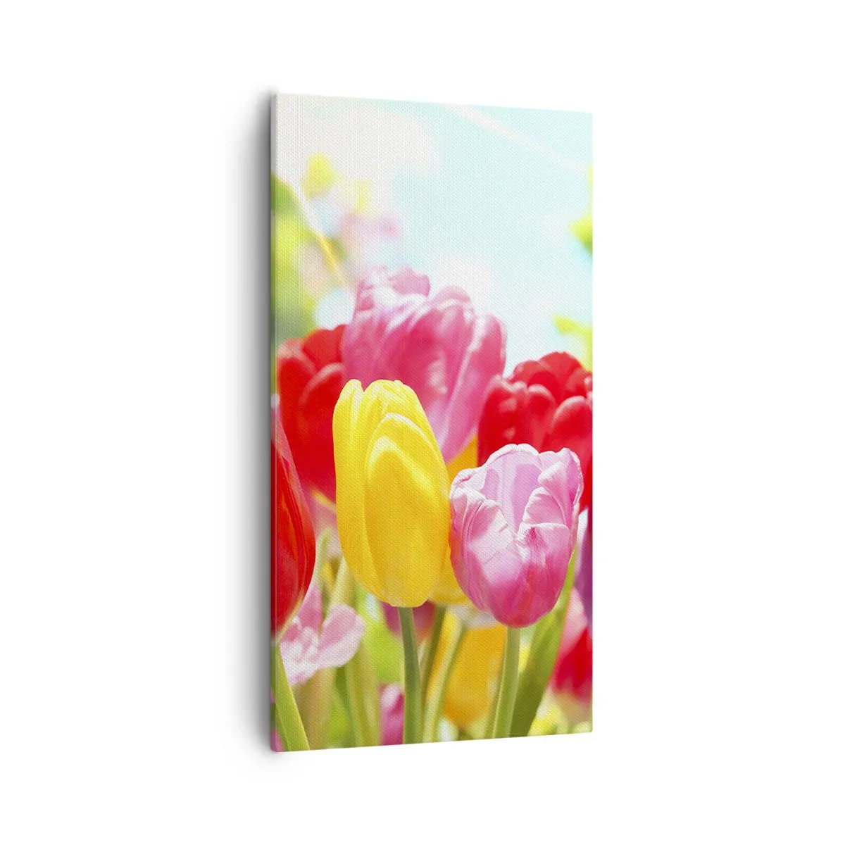 Cuadro sobre lienzo - Impresión de Imagen - Somos nosotros, ¡los colores de mayo! - 55x100 cm