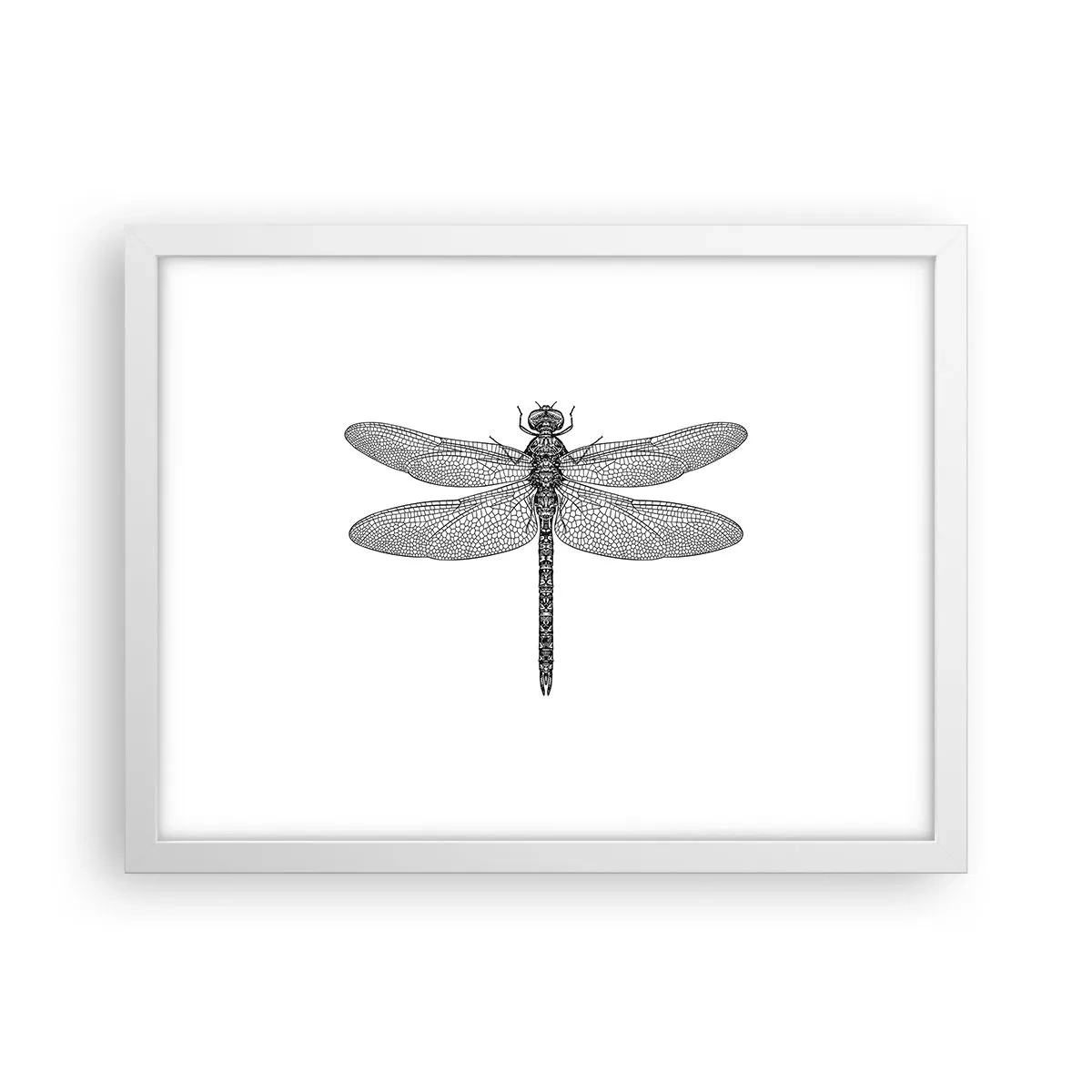 Póster en marco blanco - Precisión de la naturaleza - 40x30 cm