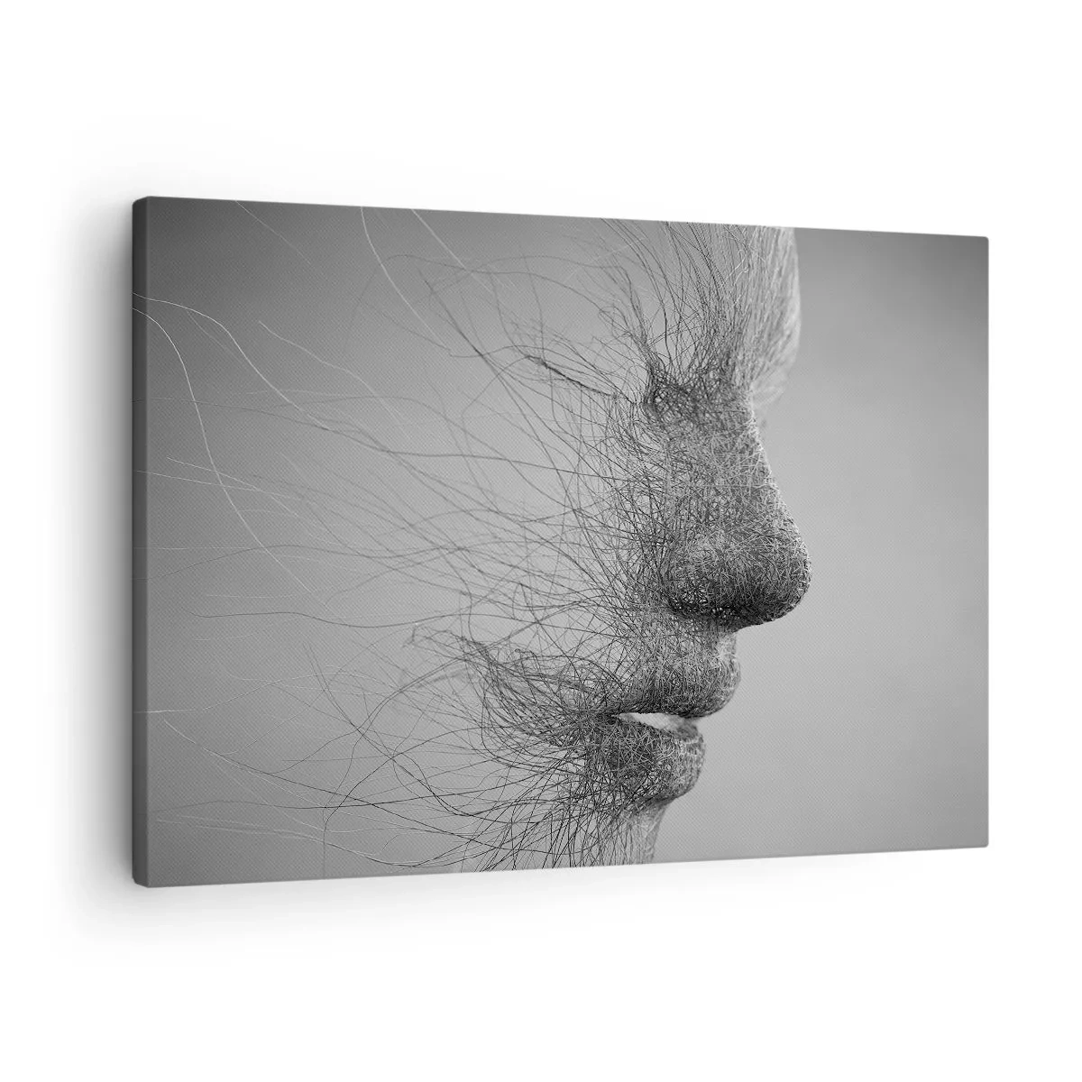 Cuadro sobre lienzo - Impresión de Imagen - Perfil facial artístico creado con líneas delicadas. - 70x50cm - Espíritu del viento - Decoración de pared moderna para salón y dormitorio ARTTOR