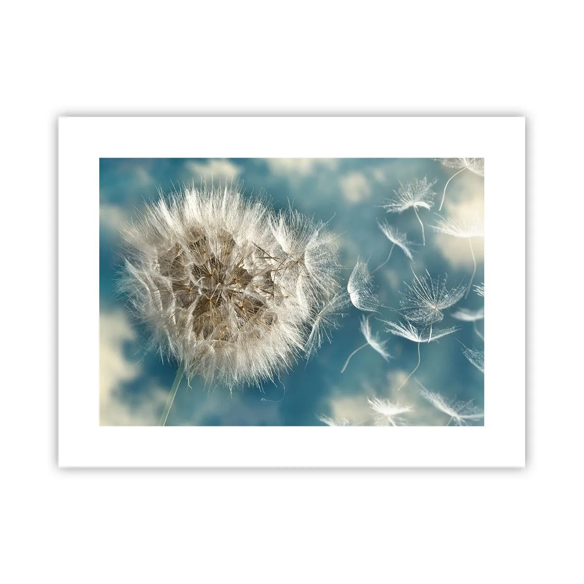 Póster - El aliento de un ángel - 40x30 cm