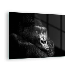 Cuadro sobre vidrio - Impresiones sobre Vidrio - Retrato en blanco y negro de un gorila a la sombra de una ventana. - 70x50cm - ¿Y qué estás mirando? - Decoración de pared moderna para salón y dormitorio ARTTOR
