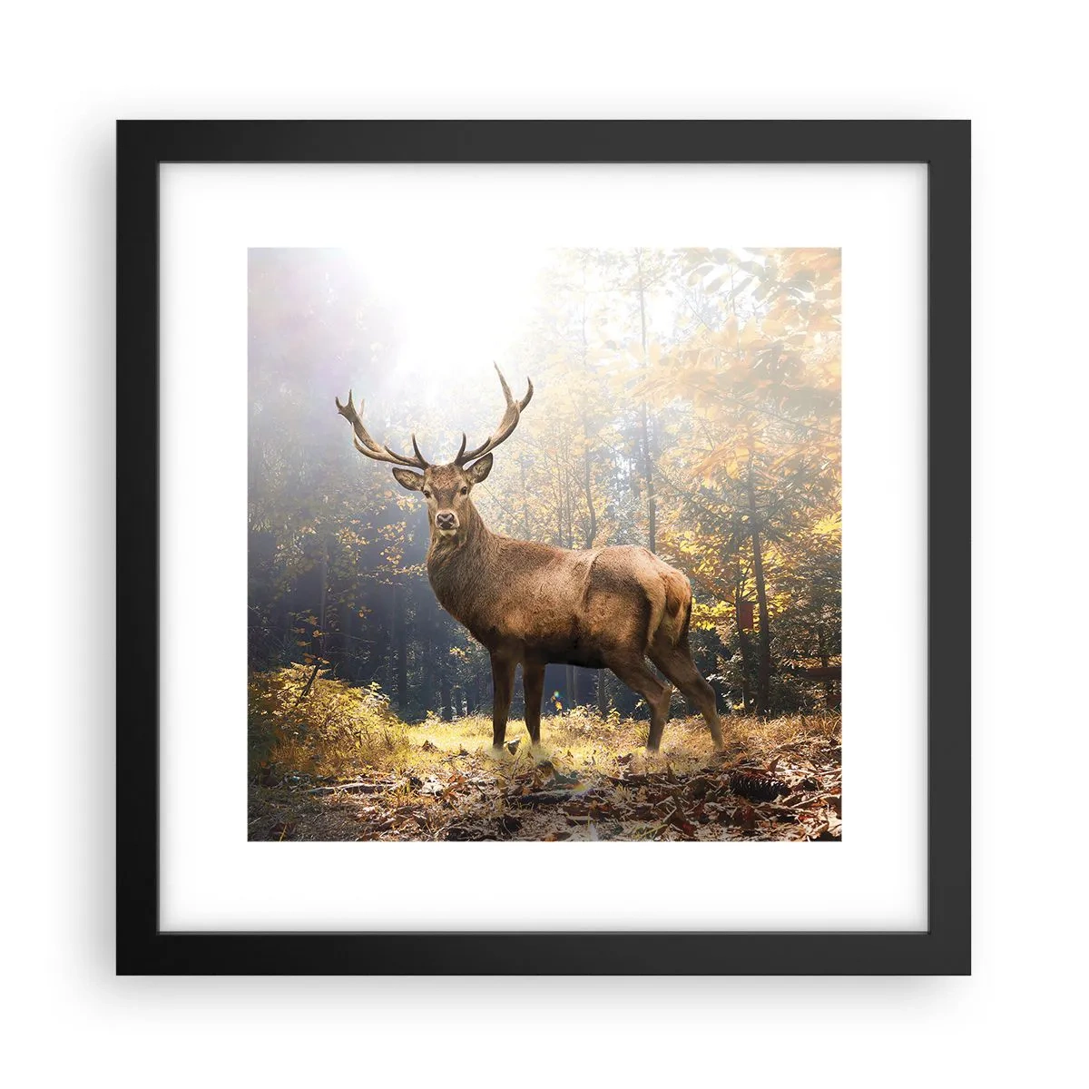 Póster en marco negro - Con toda la majestuosidad - 30x30 cm