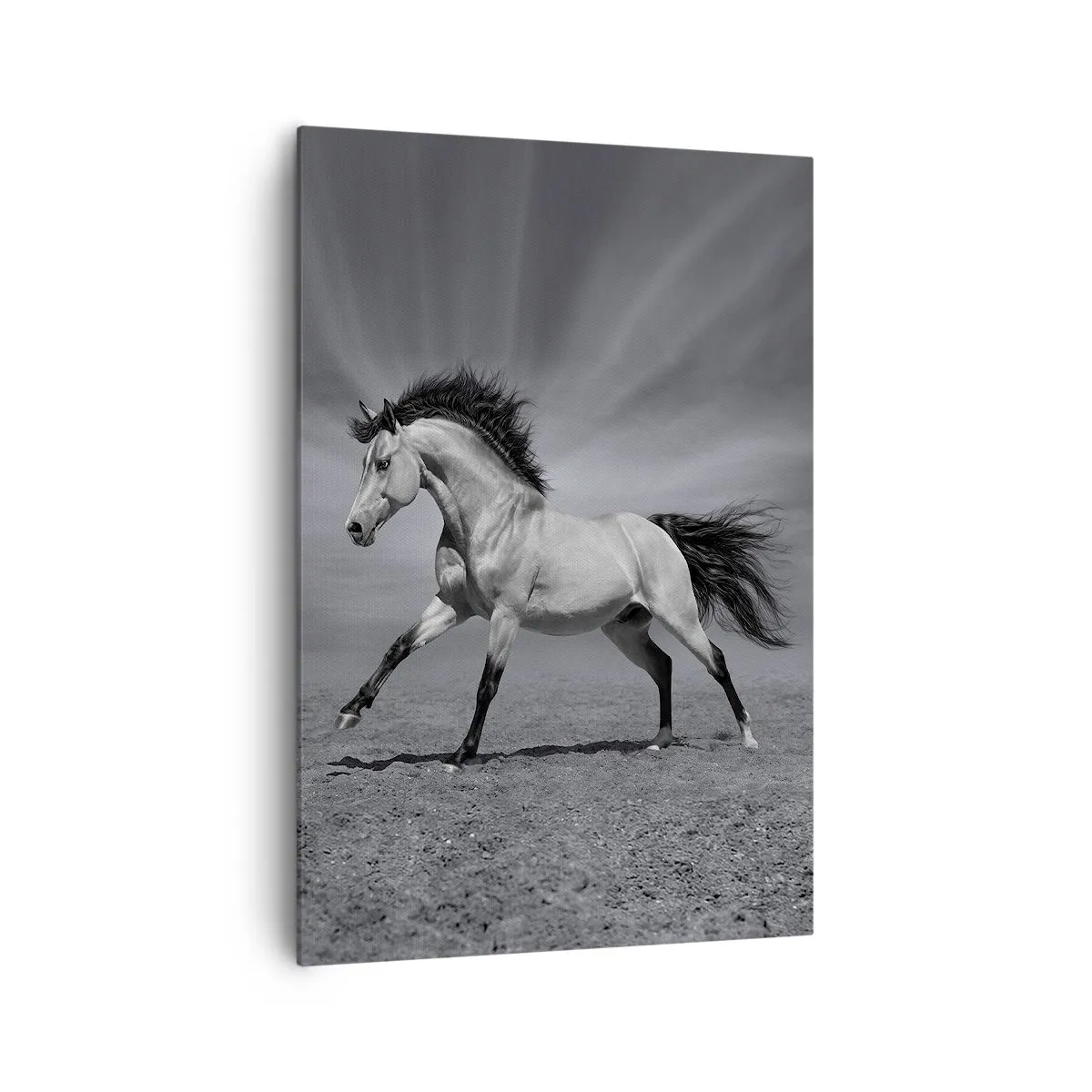 Cuadro sobre lienzo - Impresión de Imagen - Un caballo blanco y negro en una pose dinámica en el desierto. - 70x100cm - Nacido para deleitar - Decoración de pared moderna para salón y dormitorio ARTTOR