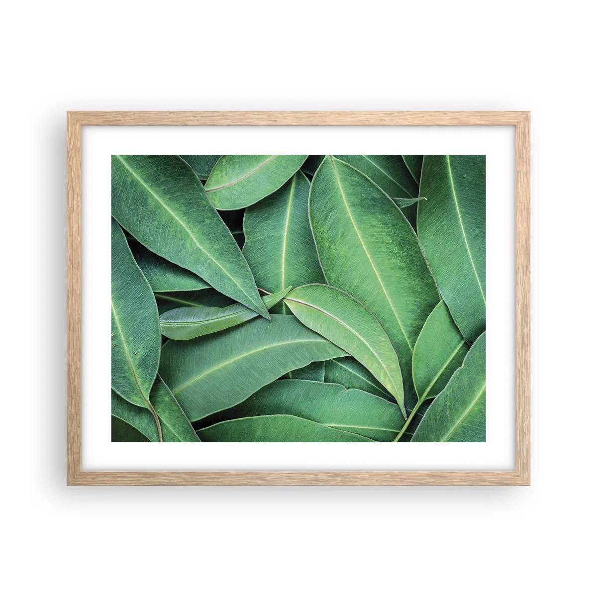 Póster en marco roble claro - Jugosidad y frescura - 50x40 cm