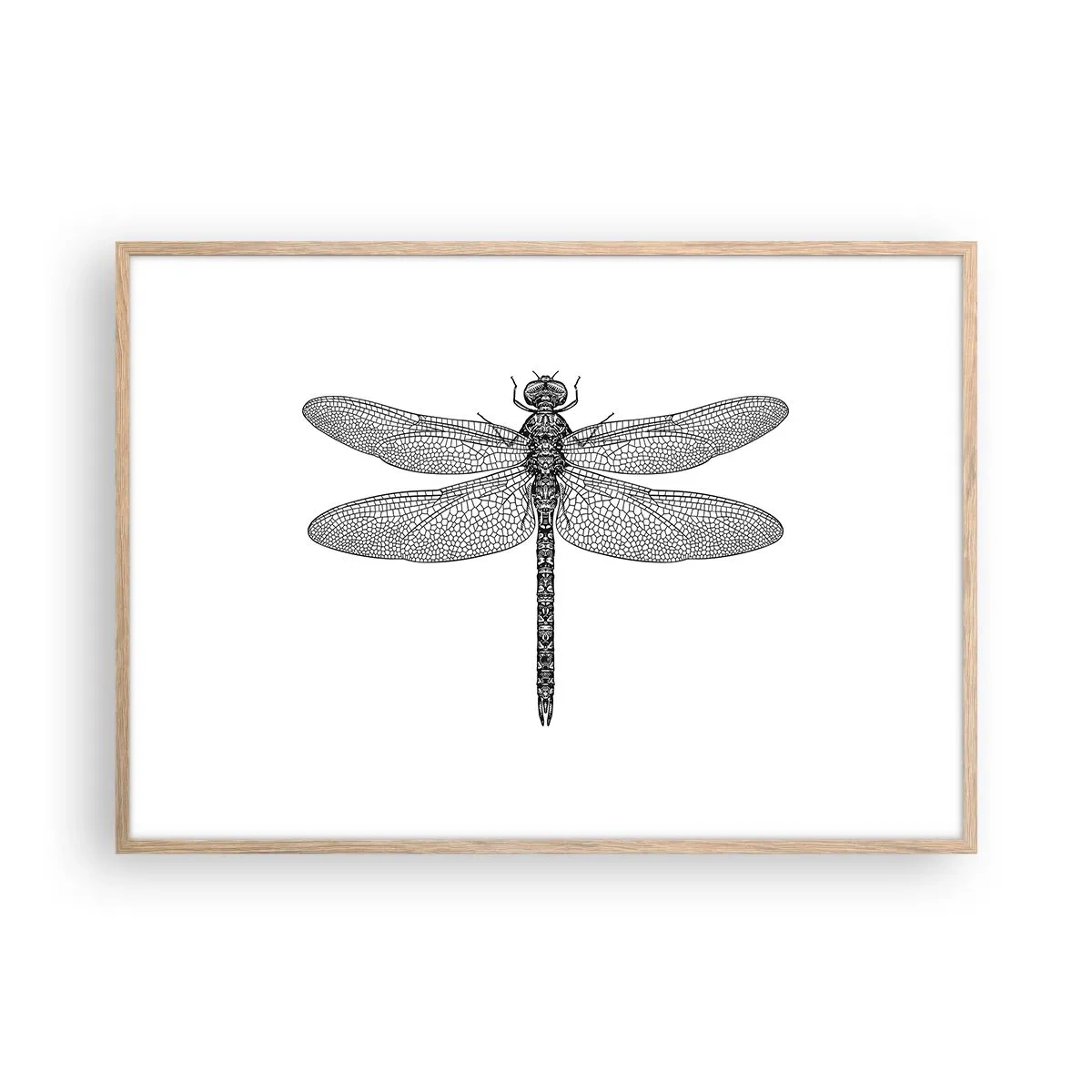 Póster en marco roble claro - Precisión de la naturaleza - 100x70 cm