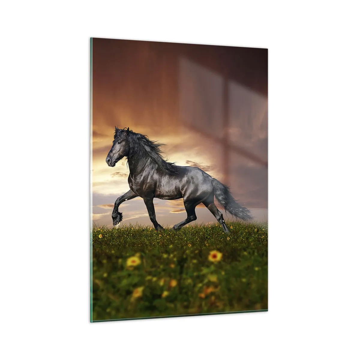 Cuadro sobre vidrio - Impresiones sobre Vidrio - Un caballo negro galopando contra el sol poniente. - 50x70cm - Príncipe negro - Decoración de pared moderna para salón y dormitorio ARTTOR