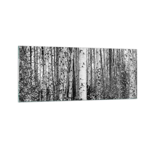 Cuadro sobre vidrio - Impresiones sobre Vidrio - Columnas de abedules - 100x40 cm