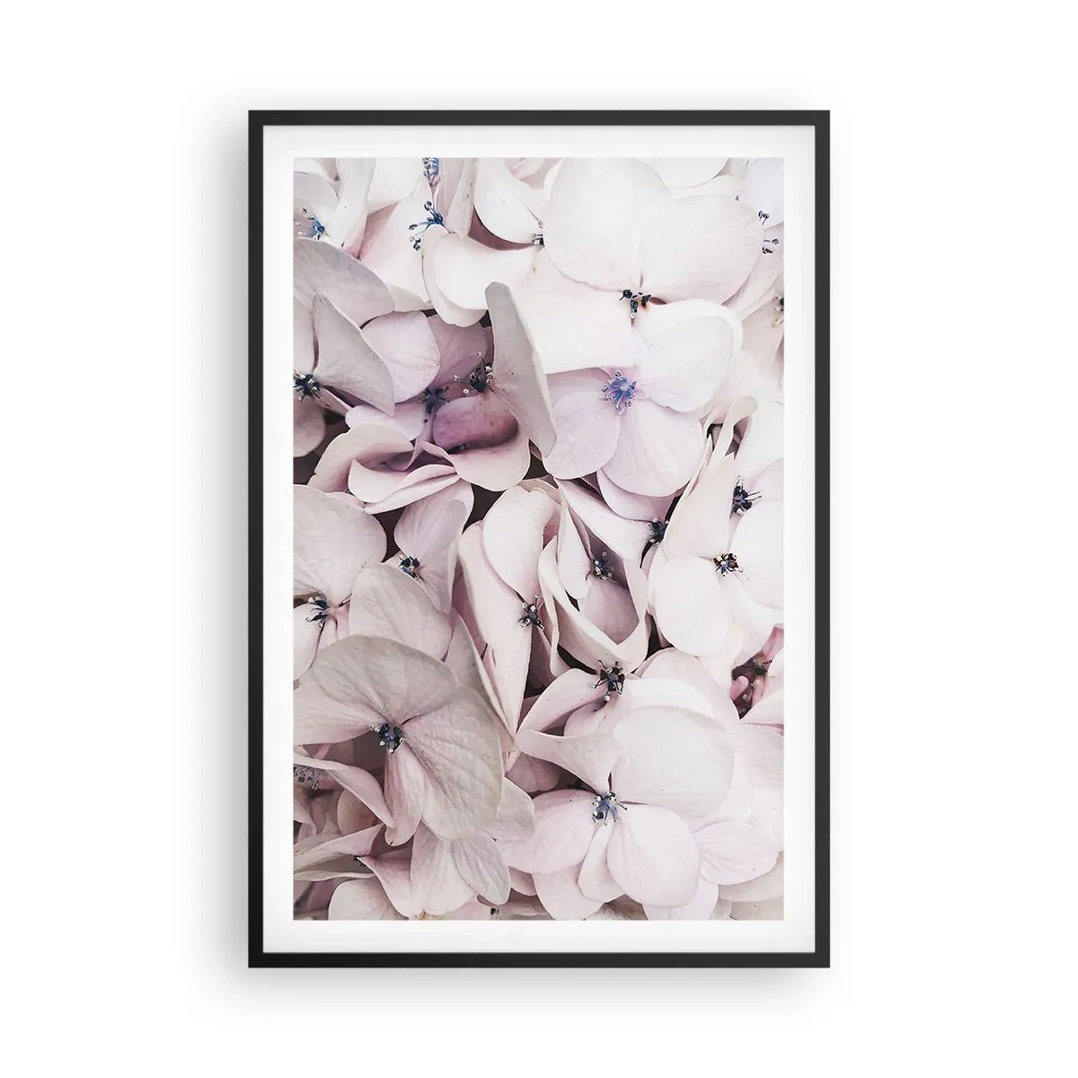 Póster en marco negro - En un torrente de flores - 61x91 cm