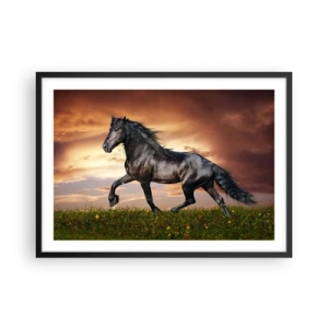 Póster en marco negro - Un caballo negro galopando contra el sol poniente. - 70x50cm - Príncipe negro - Decoración de pared moderna para salón y dormitorio ARTTOR