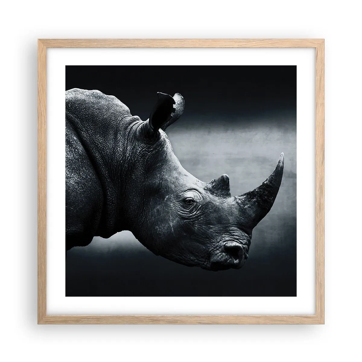 Póster en marco roble claro - Perfil derecho - 50x50 cm