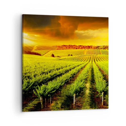 Cuadro sobre lienzo - Impresión de Imagen - Bajo el sol de Australia - 60x60 cm