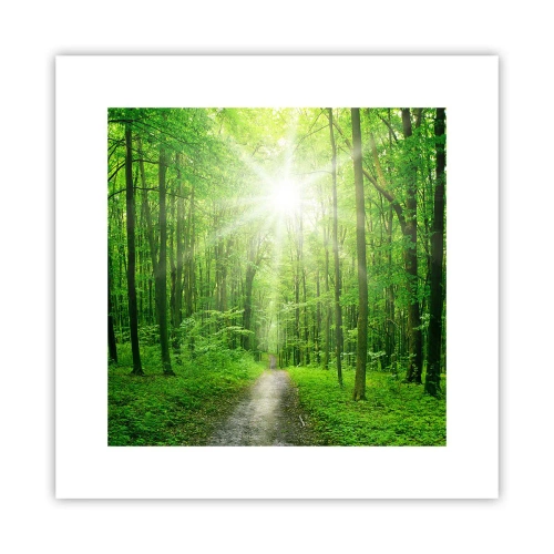 Póster - Catedral verde - 30x30 cm