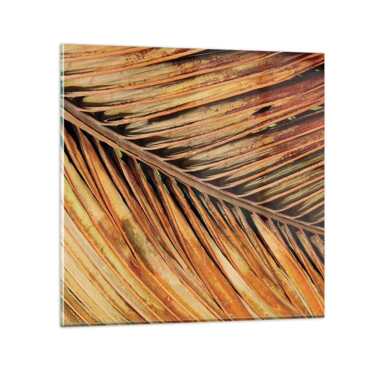 Cuadro sobre vidrio - Impresiones sobre Vidrio - Oro de coco - 70x70 cm