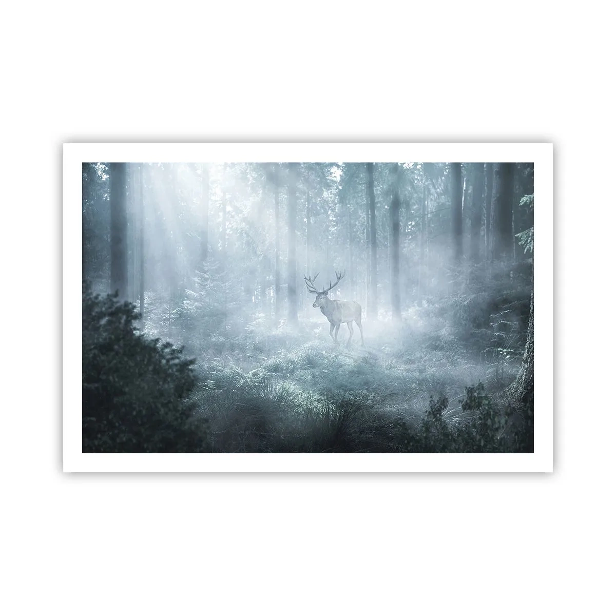 Póster - Ronda matutina por la finca - 91x61 cm