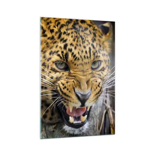 Cuadro sobre vidrio - Impresiones sobre Vidrio - Un primer plano de un leopardo amenazante con sus colmillos al descubierto. - 70x100cm - ¡Atrás, te lo advierto! - Decoración de pared moderna para salón y dormitorio ARTTOR