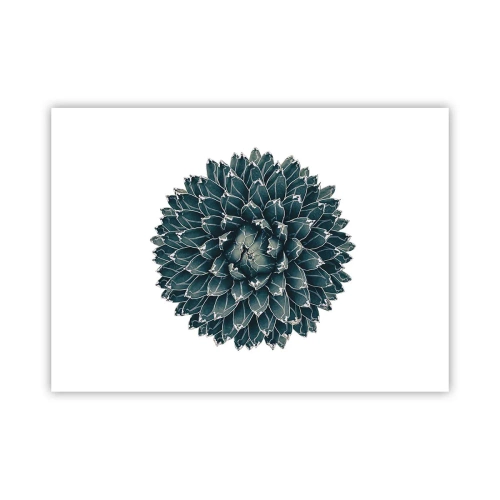 Póster - Estrella del desierto - 70x50 cm