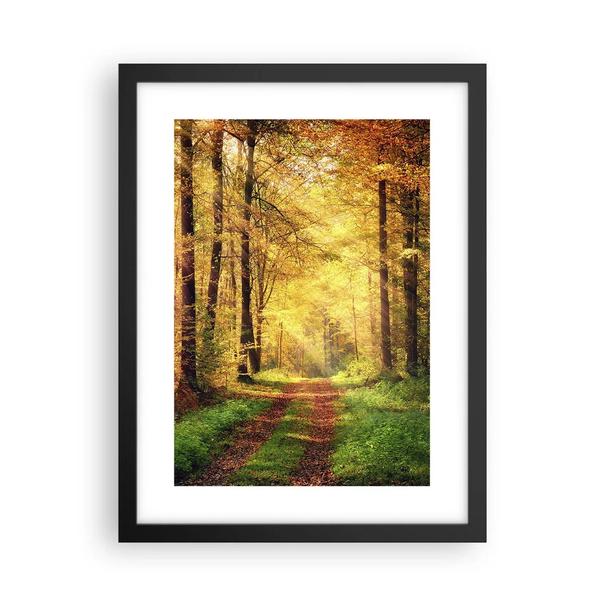 Póster en marco negro - Silencio dorado del bosque - 30x40 cm
