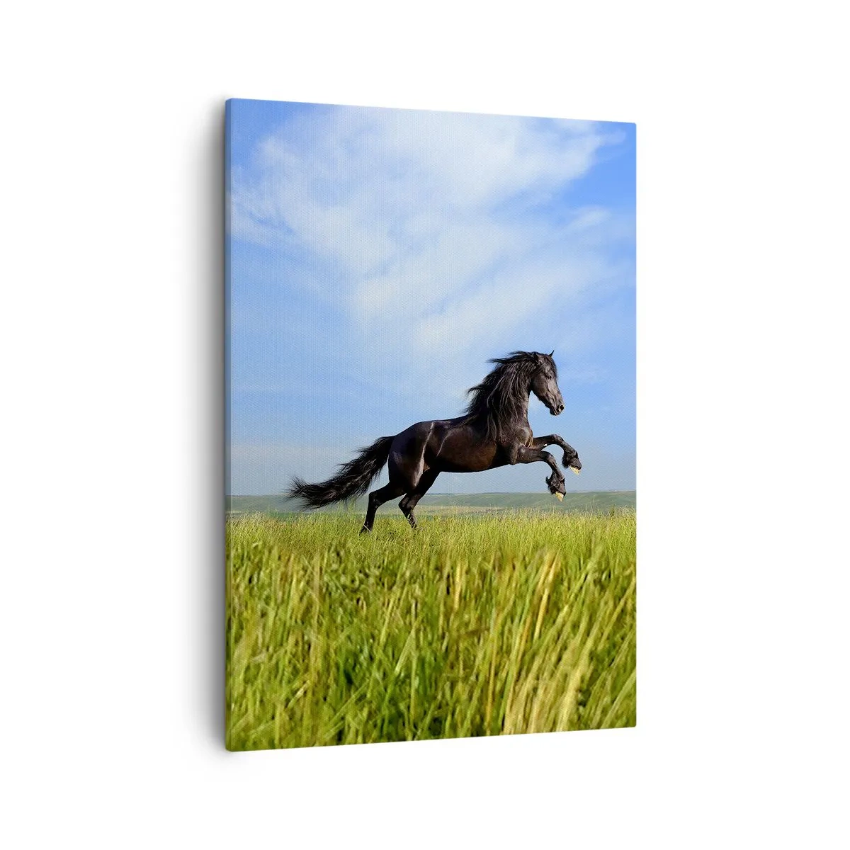 Cuadro sobre lienzo - Impresión de Imagen - Un caballo negro corriendo contra un cielo azul y un prado verde. - 50x70cm - Emocionante manifiesto de libertad - Decoración de pared moderna para salón y dormitorio ARTTOR