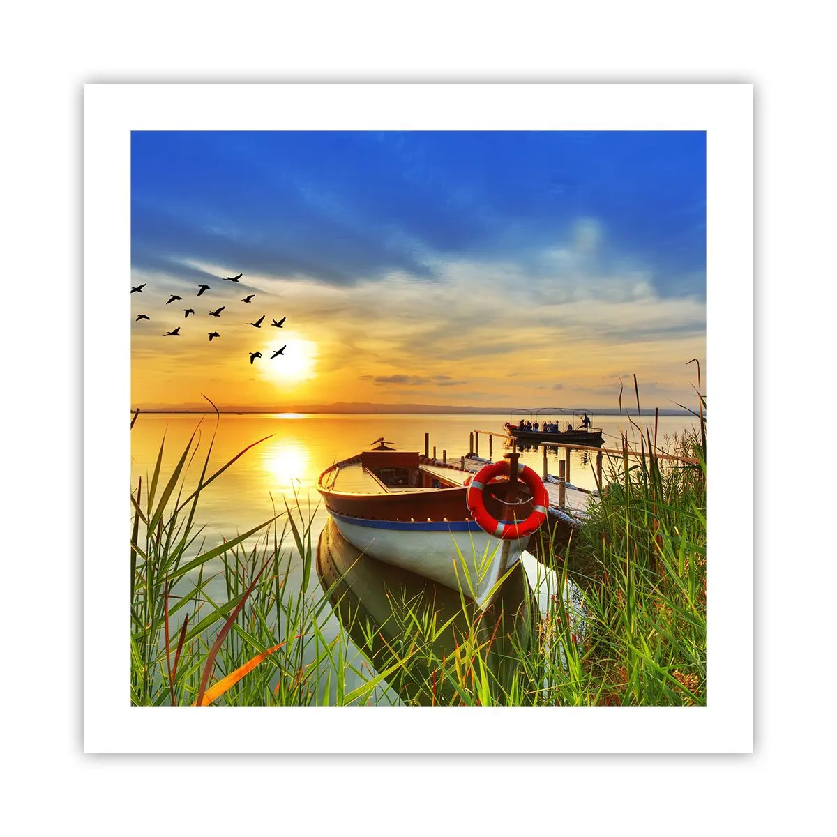 Póster - Los cormoranes están volando - 50x50 cm