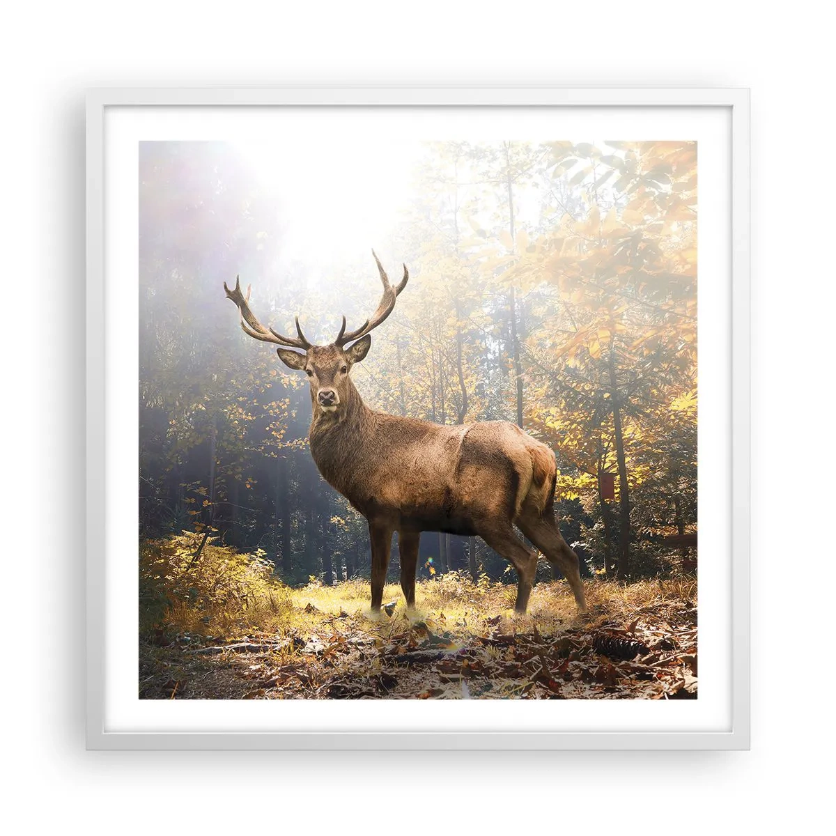 Póster en marco blanco - Con toda la majestuosidad - 60x60 cm