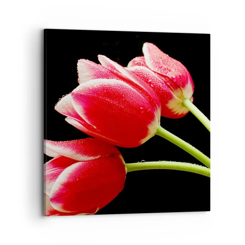 Cuadro sobre lienzo - Impresión de Imagen - Promesa de amor puro - 70x70 cm