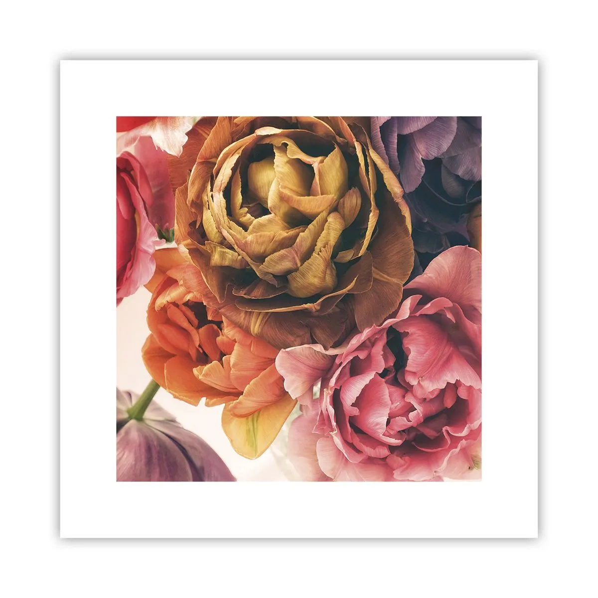 Póster - Celebración de la vida - 30x30 cm