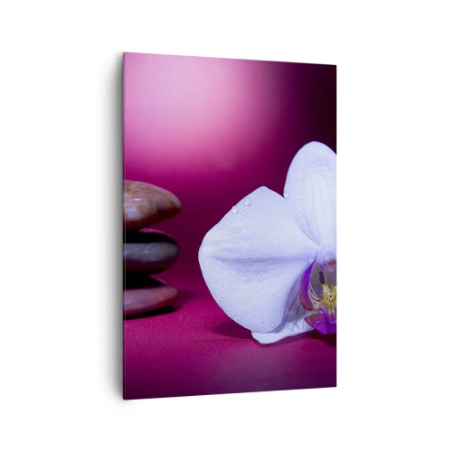 Cuadro sobre lienzo - Impresión de Imagen - Orquídea blanca y piedras sobre fondo rosa. - 70x100cm - Estudio de frescura en violeta - Decoración de pared moderna para salón y dormitorio ARTTOR