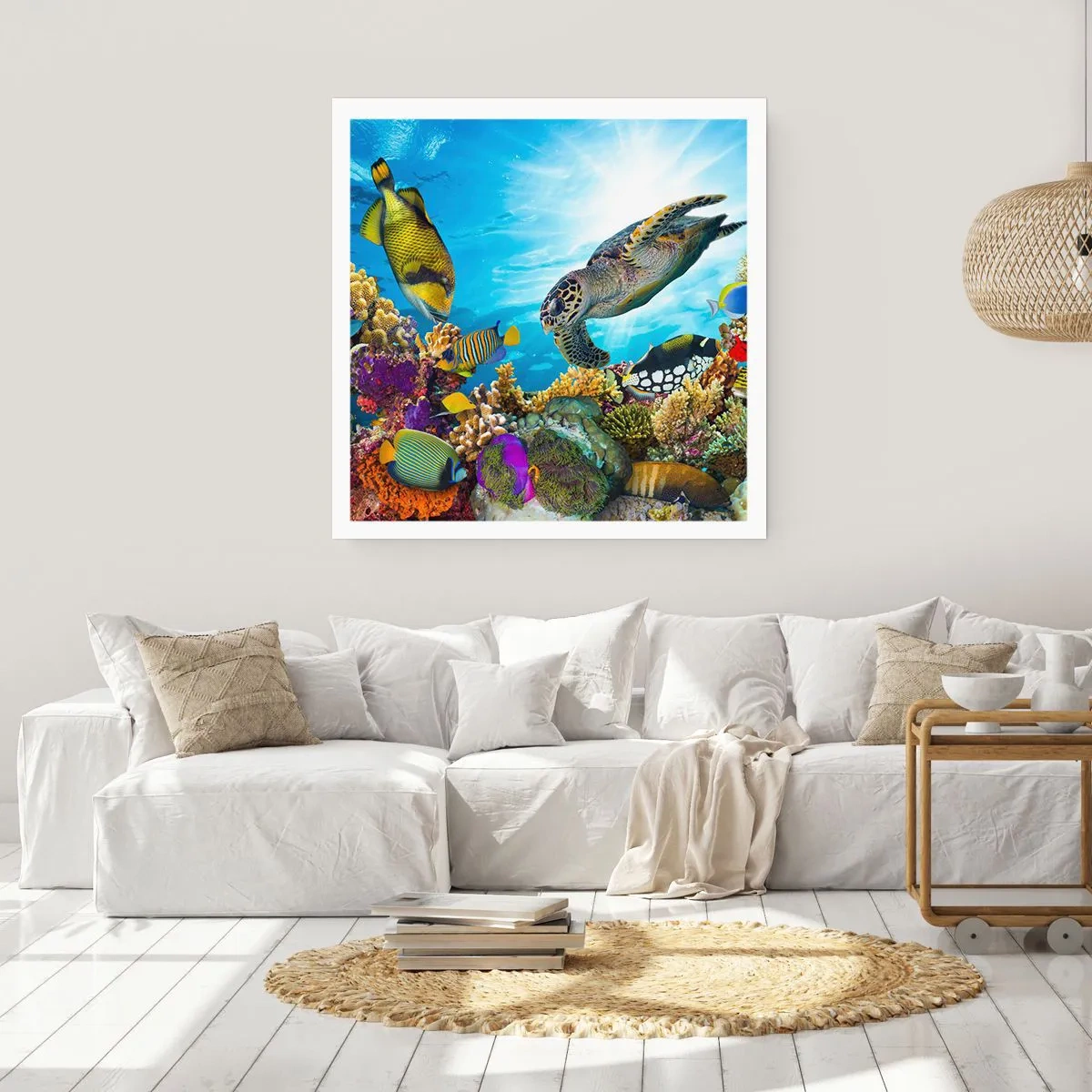 Póster - Paseo del coral - 30x30 cm