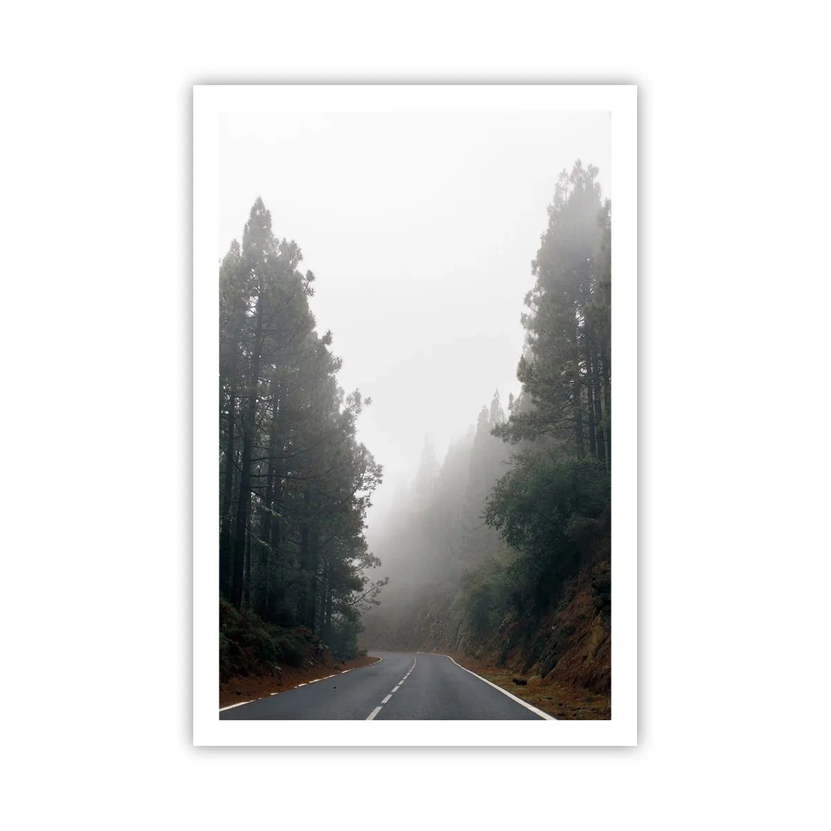 Póster - La historia de un bosque mágico - 61x91 cm