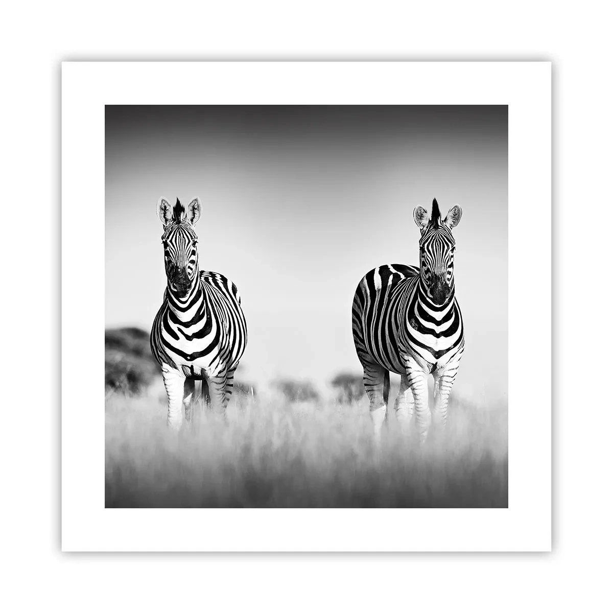 Póster - Resulta que el mundo es blanco y negro - 40x40 cm