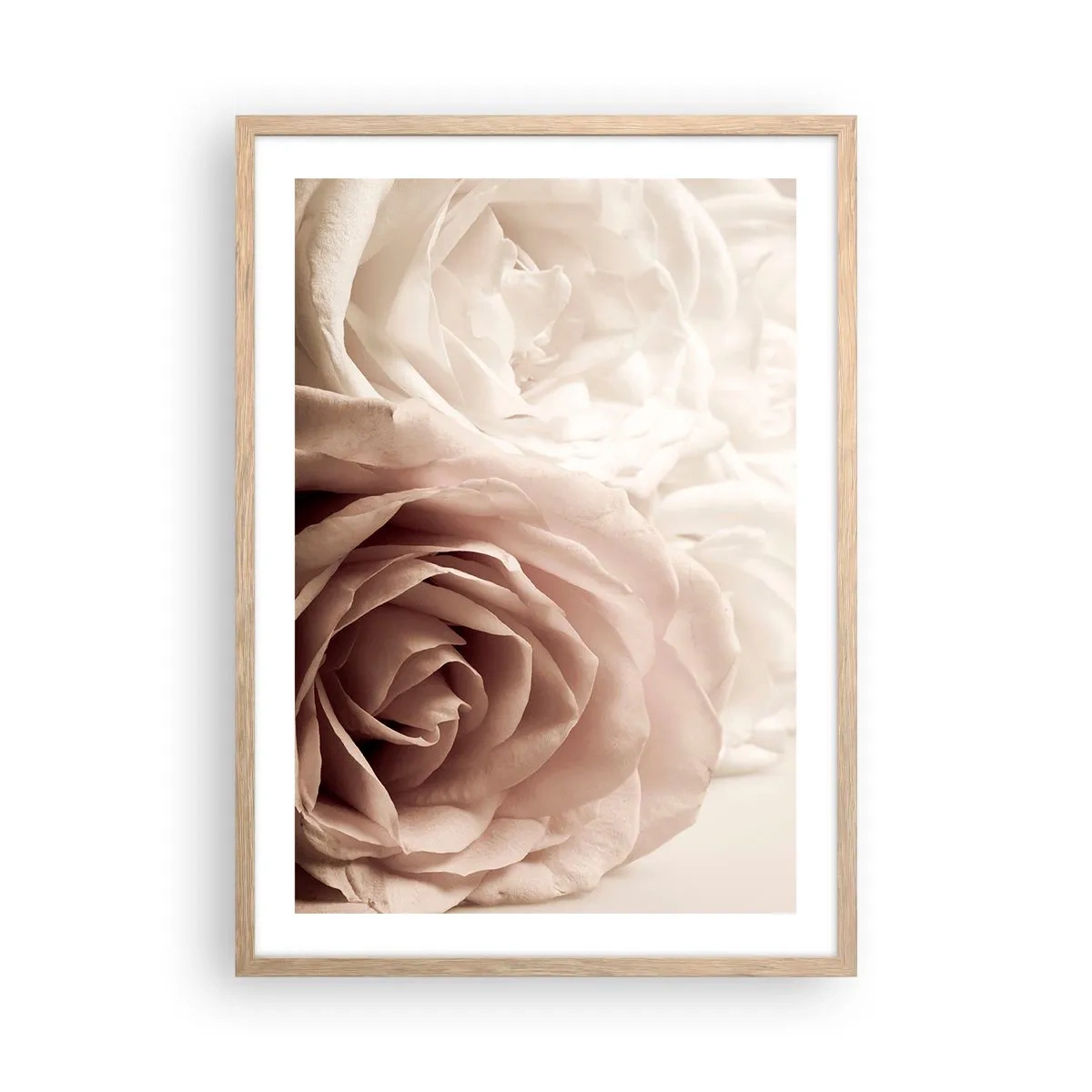 Póster en marco roble claro - En el corazón de una rosa - 50x70 cm