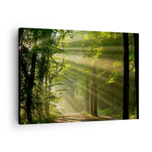 Cuadro sobre lienzo - Impresión de Imagen - Camino forestal con rayos de sol brillando a través de los árboles. - 70x50cm - Un momento en el bosque - Decoración de pared moderna para salón y dormitorio ARTTOR