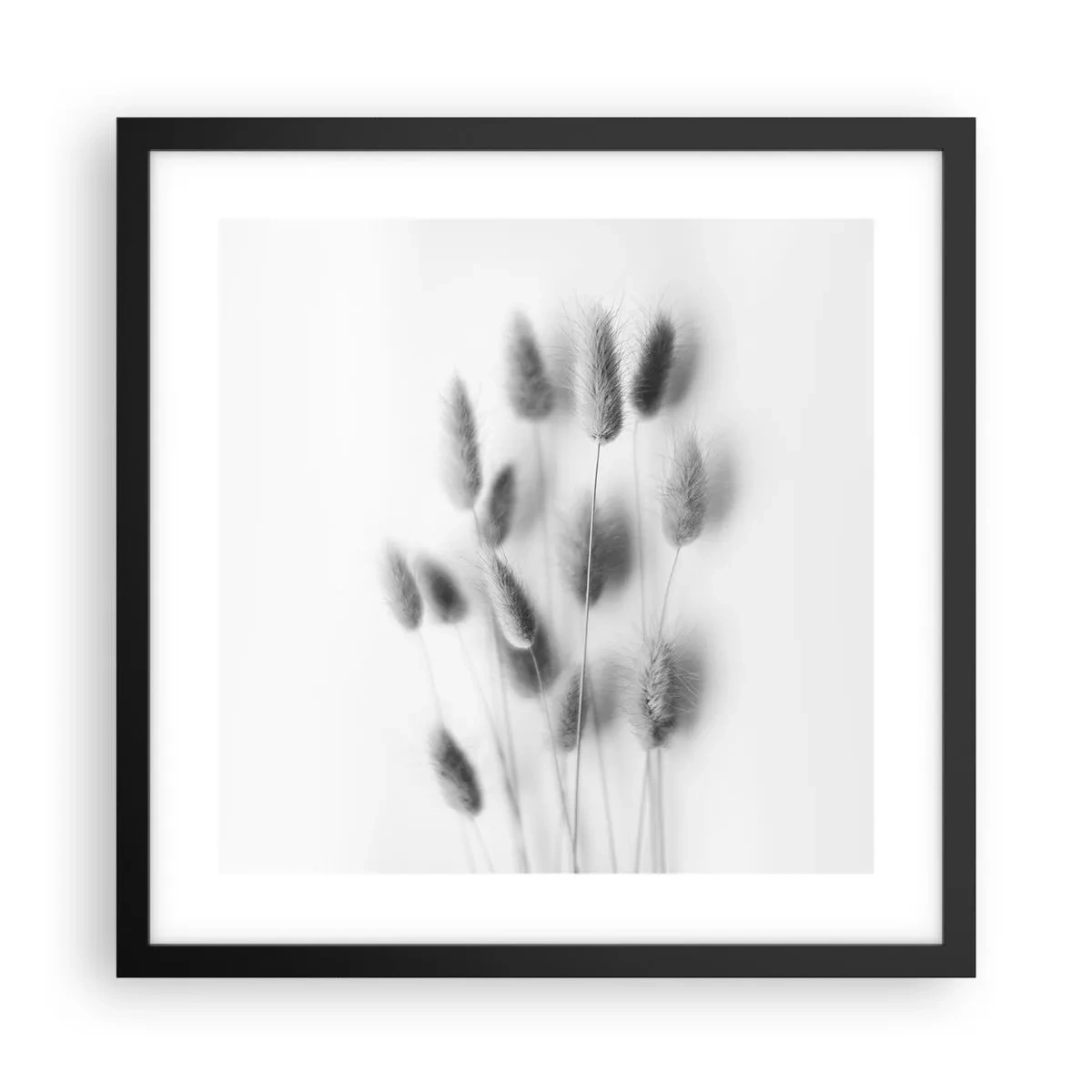 Póster en marco negro - Esponjas naturales - 40x40 cm