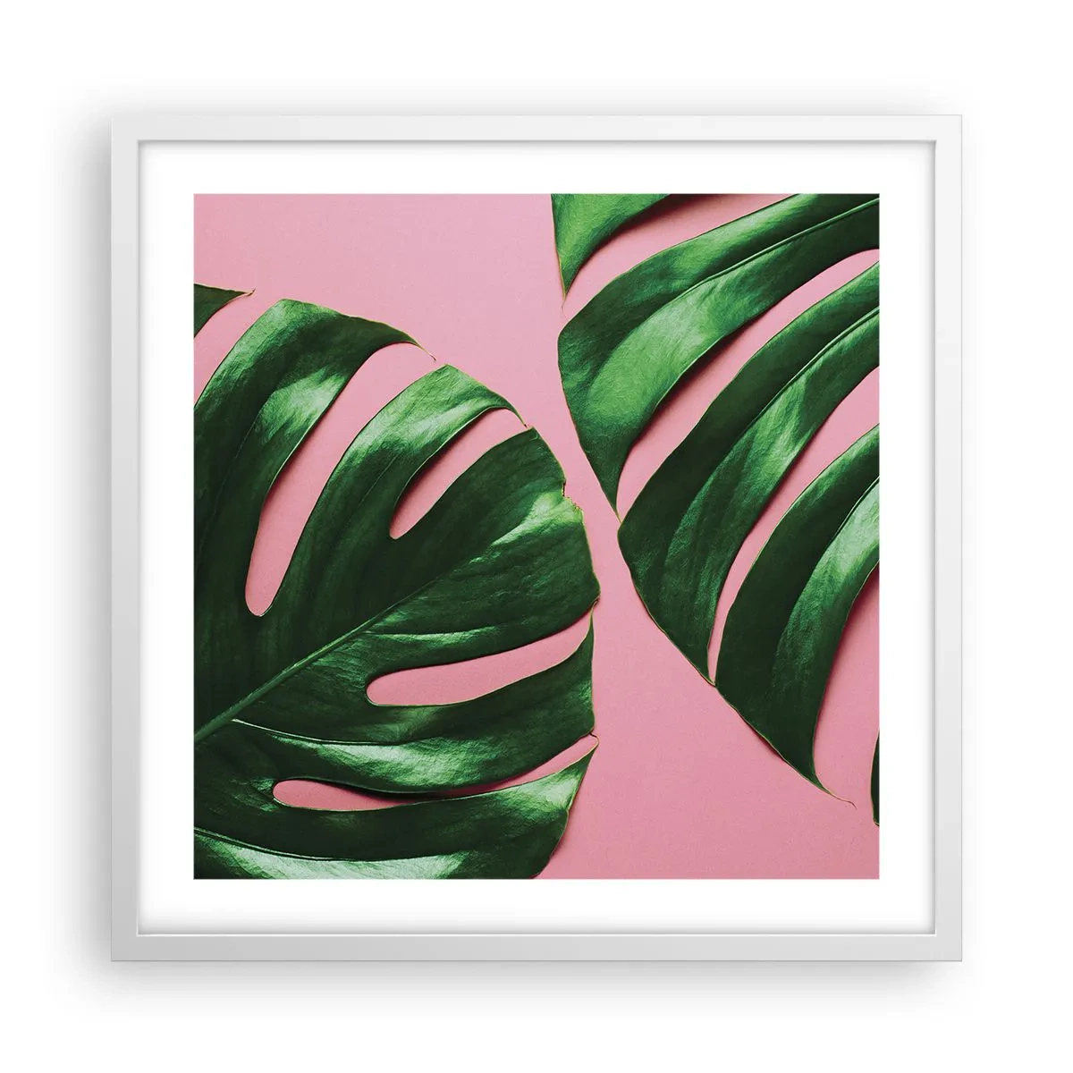 Póster en marco blanco - Cita con el verde - 50x50 cm