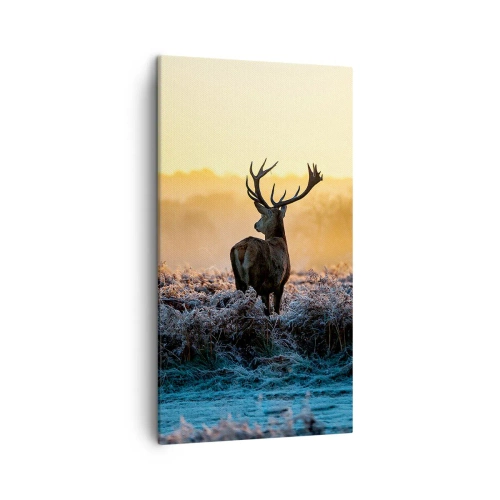 Cuadro sobre lienzo - Impresión de Imagen - Coronado en sus propios dominios - 45x80 cm