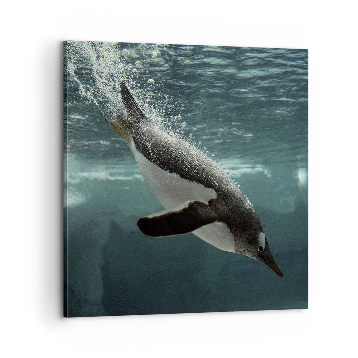 Cuadro sobre lienzo - Impresión de Imagen - Bienvenido a mi mundo - 60x60 cm